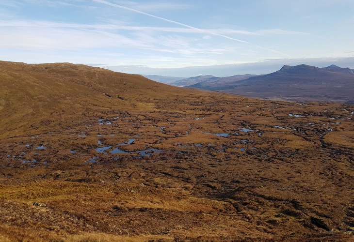 Halliday Fraser Munro offsetting its carbon footprint